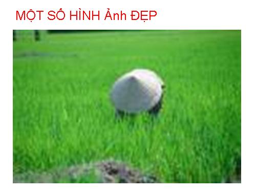 hình ảnh động rất đẹp