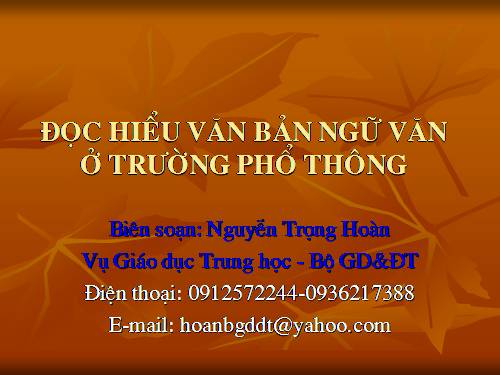 ĐỌC HIỂU VĂN BẢN NGỮ VĂN