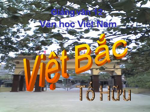 Tuần 8. Việt Bắc