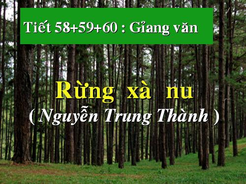 Tuần 22. Rừng xà nu