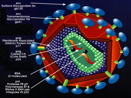 Tuần 6. Thông điệp nhân Ngày Thế giới phòng chống AIDS, 1 -12-2003