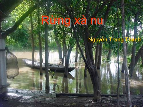 Tuần 22. Rừng xà nu