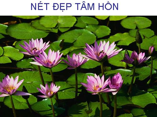 Nét đẹp tâm hồn