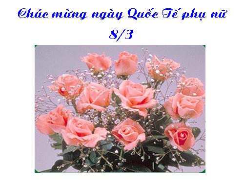 CHÀO  MỪNG NGÀY 8/3