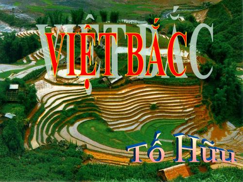 Tuần 8. Việt Bắc