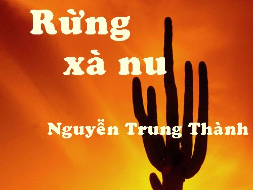 Tuần 22. Rừng xà nu