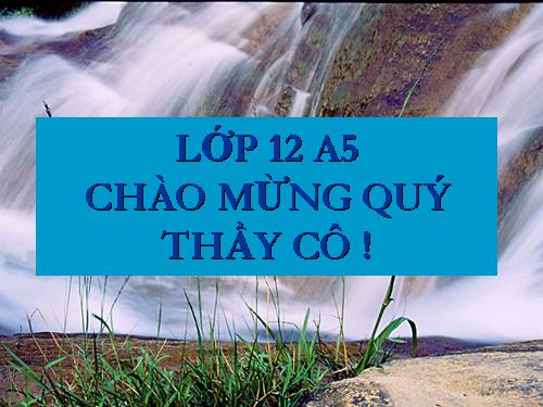 Tuần 19. Vợ chồng A Phủ