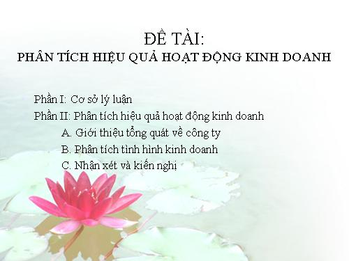 Phân tích hiệu quả hoạt động kinh doanh