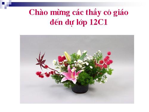 Tuần 14. Đàn ghi ta của Lorca