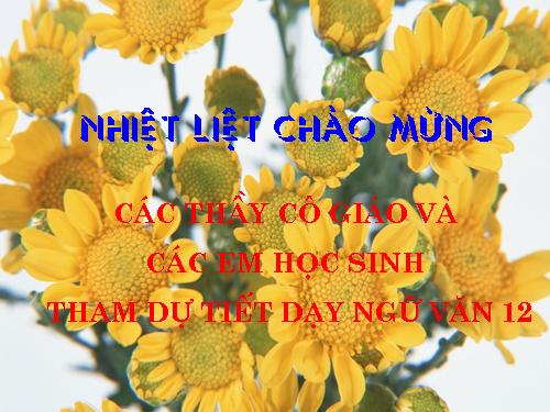 Tuần 14. Đàn ghi ta của Lorca