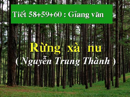 Tuần 22. Rừng xà nu