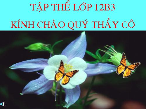 Tuần 9. Phát biểu theo chủ đề