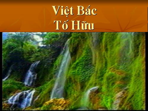 Tuần 8. Việt Bắc