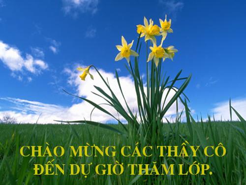 Tuần 7. Tây Tiến