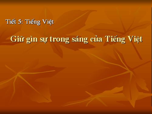 Tuần 2. Giữ gìn sự trong sáng của tiếng Việt
