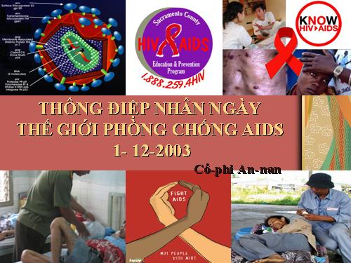 Tuần 6. Thông điệp nhân Ngày Thế giới phòng chống AIDS, 1 -12-2003