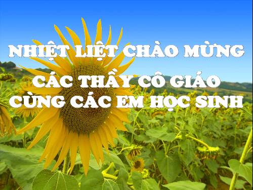 Tuần 4. Nghị luận về một hiện tượng đời sống