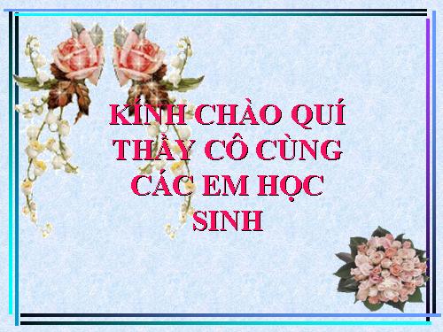 Tuần 7. Tây Tiến