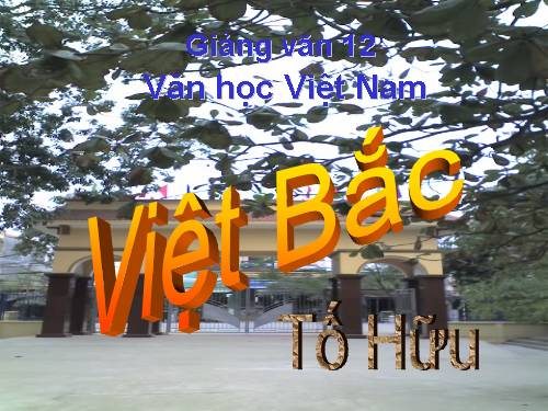 Tuần 8. Việt Bắc