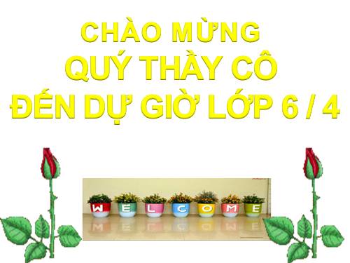 Bài 27. Câu trần thuật đơn có từ là