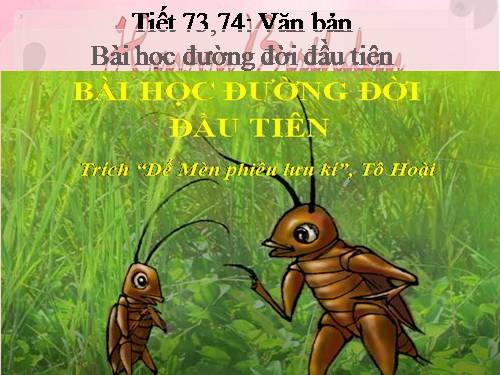 Bài 18. Bài học đường đời đầu tiên