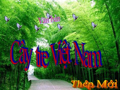 Bài 26. Cây tre Việt Nam