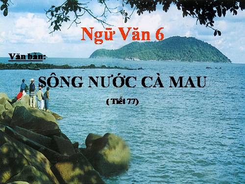 Bài 19. Sông nước Cà Mau