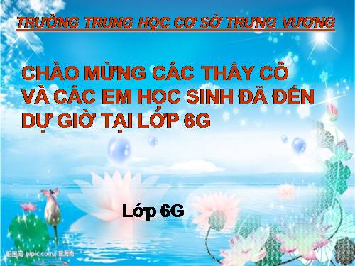 Bài 19. Quan sát, tưởng tượng, so sánh và nhận xét trong văn miêu tả