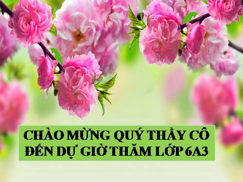 Bài 15. Mẹ hiền dạy con