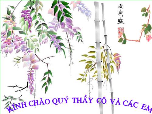 Bài 13. Chỉ từ