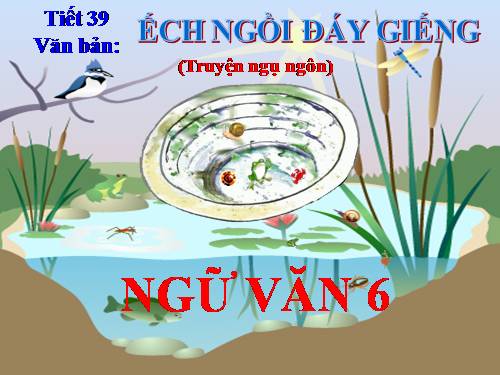 Bài 10. Ếch ngồi đáy giếng