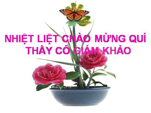 Các bài Luyện tập