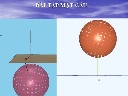 Các bài Luyện tập