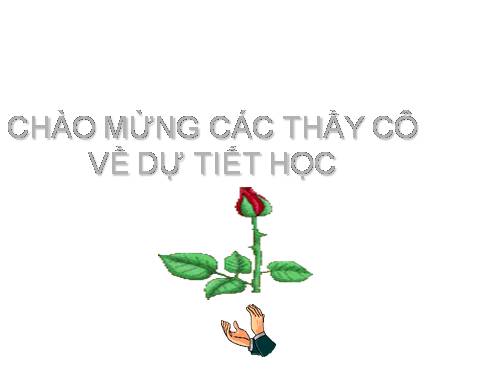 Các bài Luyện tập