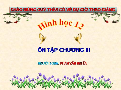 Ôn tập Chương III. Phương pháp tọa độ trong không gian