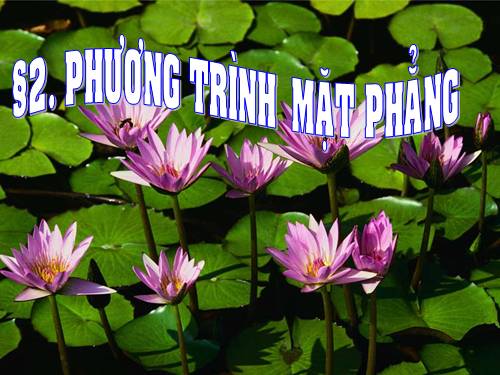 Chương III. §2. Phương trình mặt phẳng