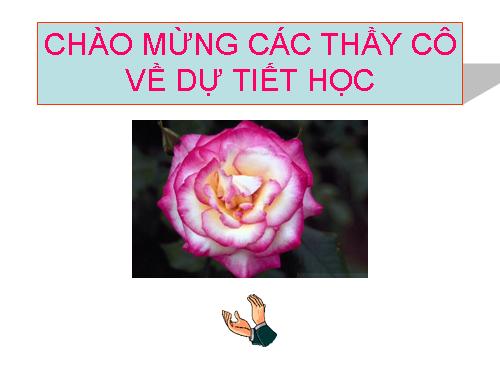 Bài Khoảng cách (Rất hay)