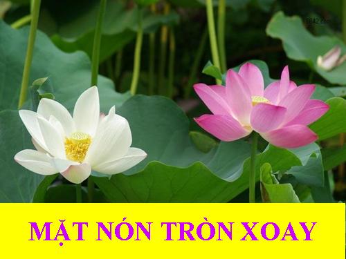 Chương II. §1. Khái niệm về mặt tròn xoay