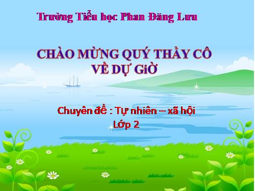 Bài 9. Đề phòng bệnh giun