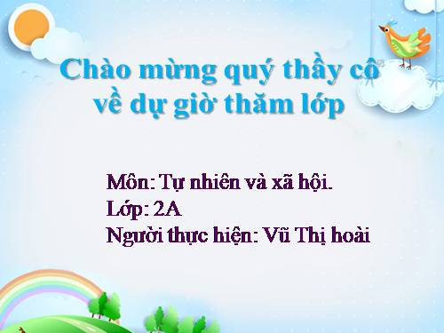 Bài 26. Một số loài cây sống dưới nước