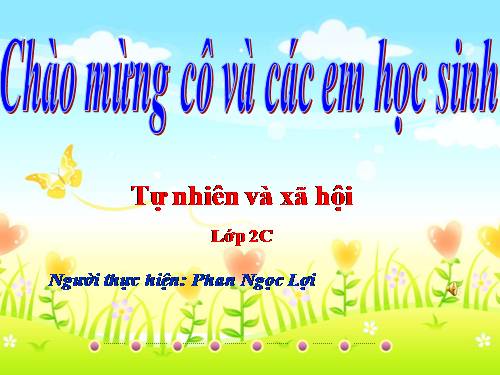 Bài 29. Một số loài vật sống dưới nước