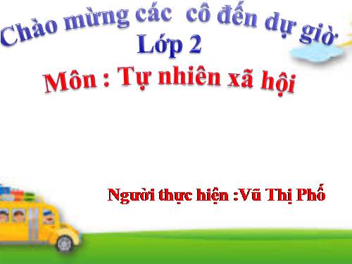 Bài 28. Một số loài vật sống trên cạn