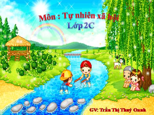 Bài 28. Một số loài vật sống trên cạn