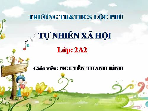 Bài 28. Một số loài vật sống trên cạn