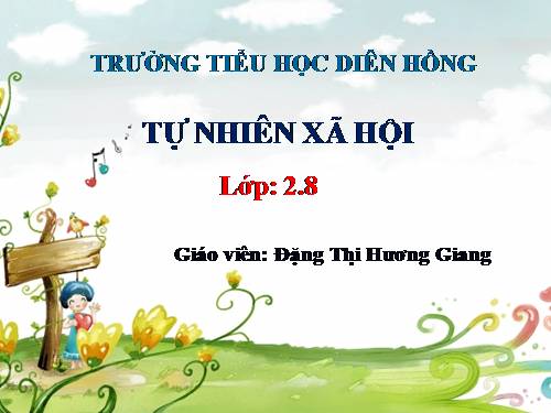 Bài 28. Một số loài vật sống trên cạn