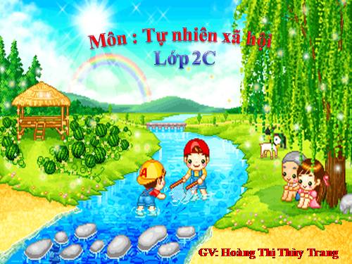 Bài 28. Một số loài vật sống trên cạn