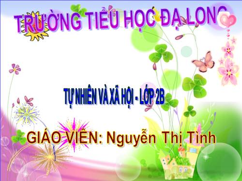 Bài 28. Một số loài vật sống trên cạn