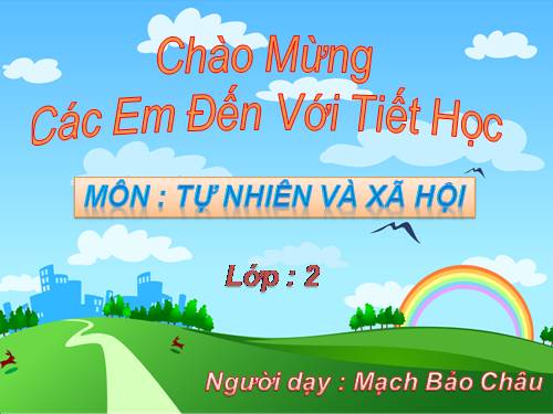 Bài 25. Một số loài cây sống trên cạn