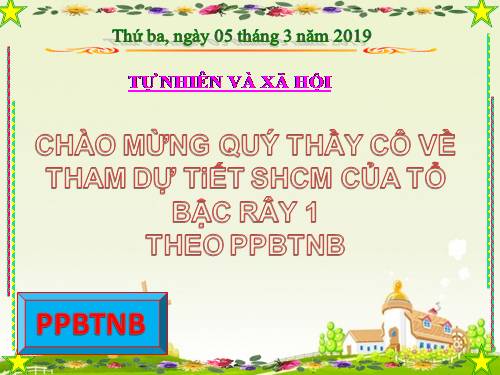 Bài 25. Một số loài cây sống trên cạn