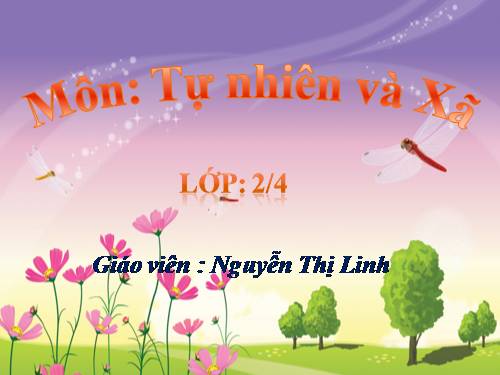 Bài 25. Một số loài cây sống trên cạn